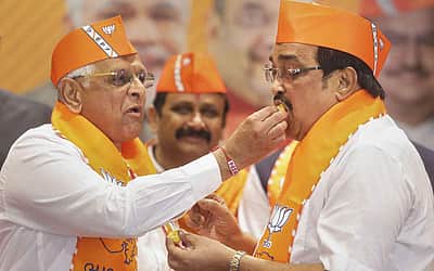 குஜராத்தில் பாஜக தொண்டர்கள் கொண்டாட்டம் - புகைப்படங்கள்
