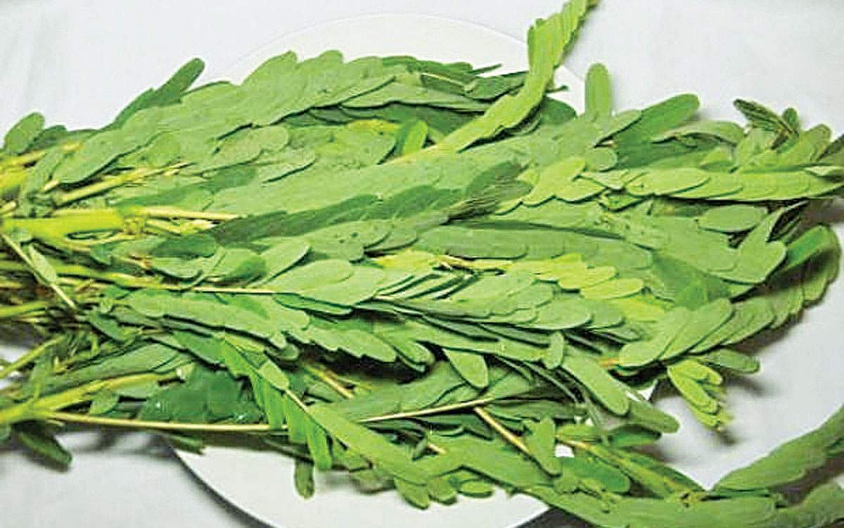 அகத்திக் கீரையின் பயன்கள்!