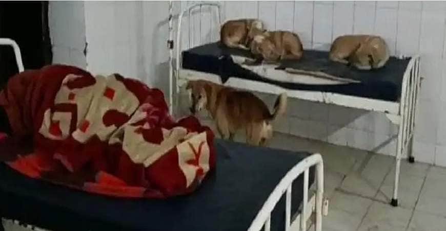 என்று மாறும் இந்த நிலை? இது கால்நடை மருத்துவமனை அல்ல!