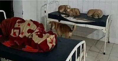 என்று மாறும் இந்த நிலை? இது கால்நடை மருத்துவமனை அல்ல!