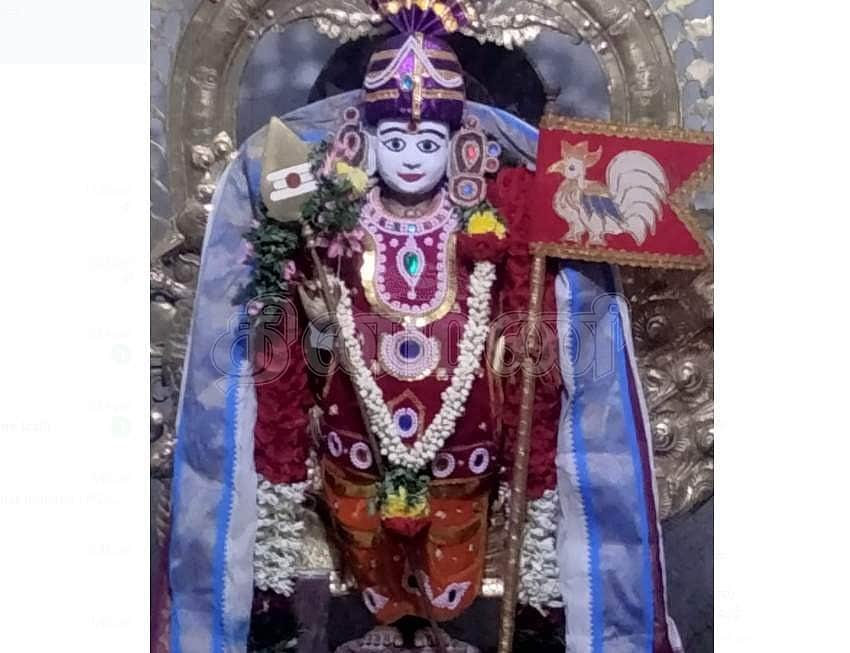 News image