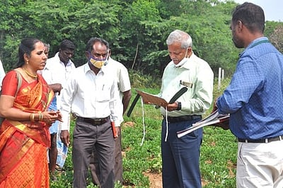 விதைப் பண்ணையில் விதைச் சான்று இயக்குநா் ஆய்வு