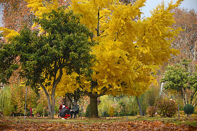 புதிதாக கண்டறியப்பட்ட 9 ஆயிரம் தாவர இனங்கள்