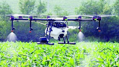 இயற்கை விவசாயம் மேம்படுத்தப்படும்:ட்ரோன் பயன்பாட்டுக்கு நிதி