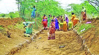 மகாத்மா காந்தி தேசிய ஊரக வேலை உறுதித் திட்ட நிதி ஒதுக்கீடு 25% குறைப்பு