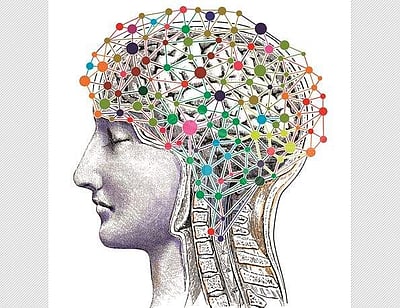 நினைவுத்திறன் அதிகரிக்க உடற்பயிற்சி செய்யுங்கள்! - ஆய்வு