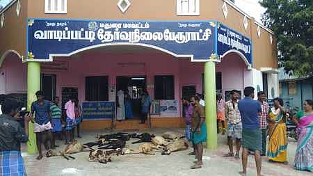 News image