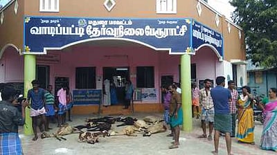 வாடிப்பட்டி பேரூராட்சியை திமுக கைப்பற்றியது