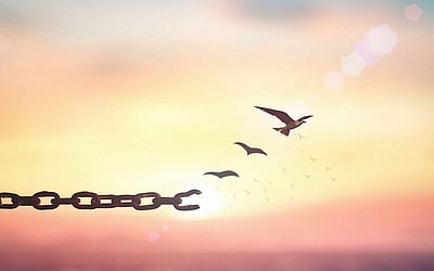 உன்னால் முடியும் நம்பு.. நம்பு! - 7: பறக்கக் கற்றுக்கொள்ளலாம்!