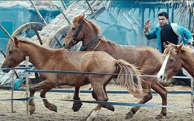 புனித் ராஜ்குமாரின் 'ஜேம்ஸ்' பட டீசர் வெளியானது