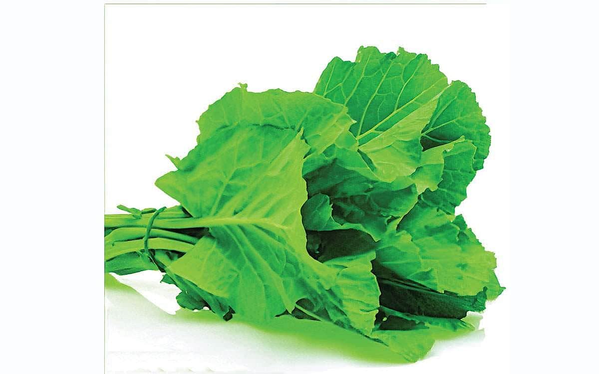 நோய் எதிர்ப்பு சக்தி உணவுகள்!