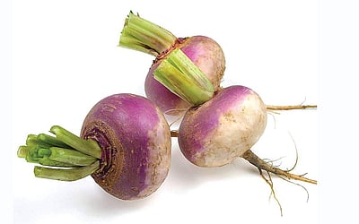 டர்னிப்பின் பயன்கள்!