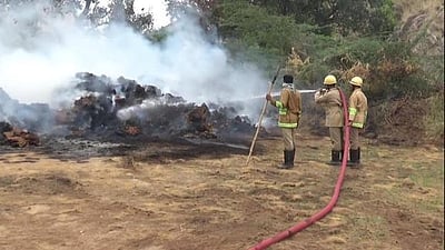 ராஜபாளையம் அருகே கயிறு தயாரிக்கும் தொழிற்சாலையில் தீ விபத்து