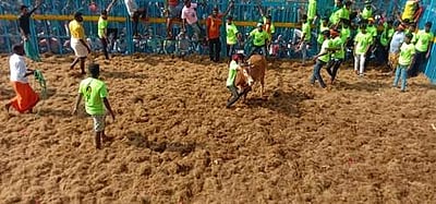 ஆலங்குடி அருகே மங்களாபுரத்தில் ஜல்லிக்கட்டு