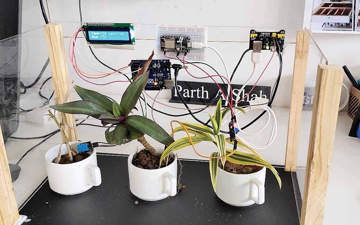 மாடித்தோட்டம்...: தண்ணீர் பாய்ச்ச வேண்டாம்!