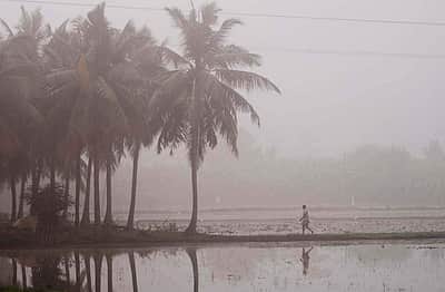 நீலகிரி, கோவையில் நீடிக்கும் உறைபனி: வானிலை ஆய்வு மையம் 