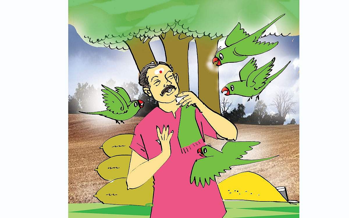 அரங்கம்: விவசாயியும் பச்சைக்கிளிகளும்