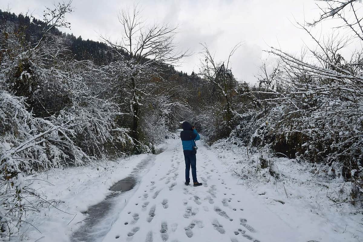 அருணாசல்: பனிப்புயலில் சிக்கிய 7 ராணுவ வீரர்களை மீட்க நடவடிக்கை