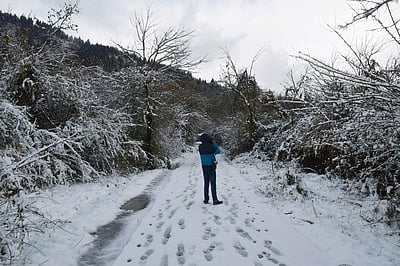அருணாச்சலப் பிரதேசம்: பனிச்சரிவில் சிக்கிய 7 ராணுவ வீரர்கள் பலி