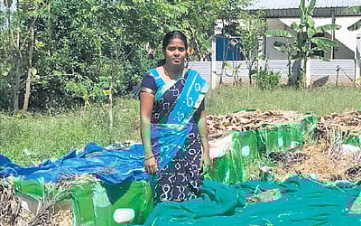 ஆண்டுக்கு ரூ.4 லட்சம் வருமானம்!