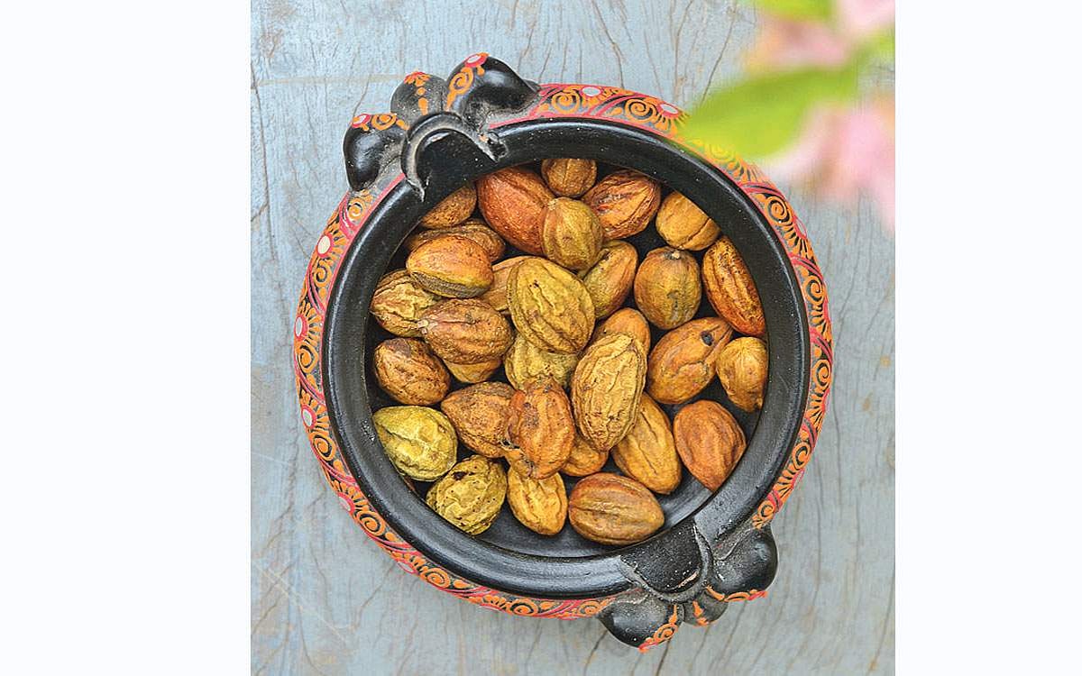 கடுக்காயின் பயன்கள்!