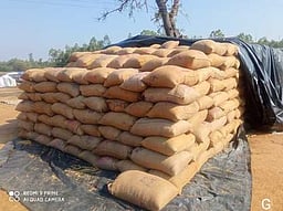 2 ஆயிரம் டன் நெல் மூட்டைகள் 
அரைவைக்காக தருமபுரிக்கு  
அனுப்பிவைப்பு