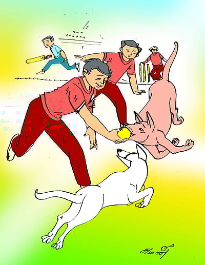 கோபுவும்  அவனது கிரிக்கெட் குழுவும்!