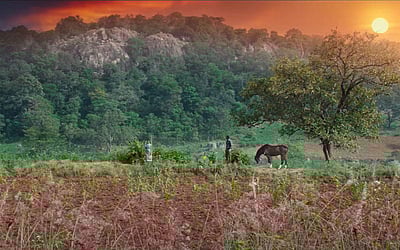 குதிரைவால் படத்தின் டிரெய்லர் வெளியீடு