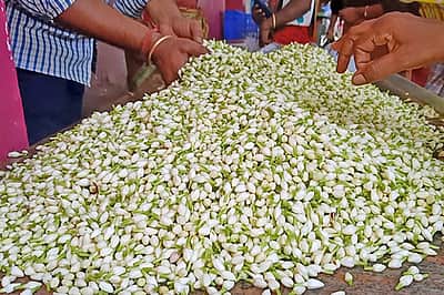 ஆடி அமாவாசை: பரமத்தி வேலூரில் பூக்கள் விலை உயா்வு