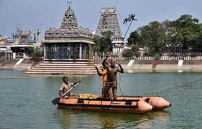 காணாமல் போன மயில் சிலை: உண்மை கண்டறியும் குழு அமைப்பு