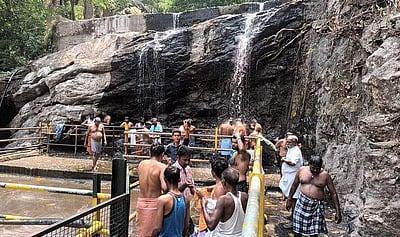 சுருளி அருவிக்கு சுற்றுலா பயணிகள் வருகை அதிகரிப்பு