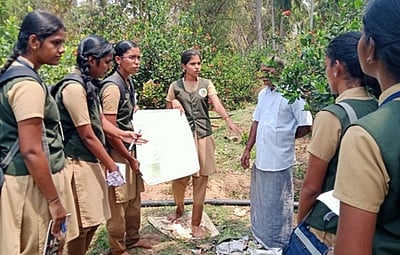 மூடாக்குப் பயன்பாடு:  தோட்டக்கலைகல்லூரி மாணவிகள் செயல் விளக்கம்