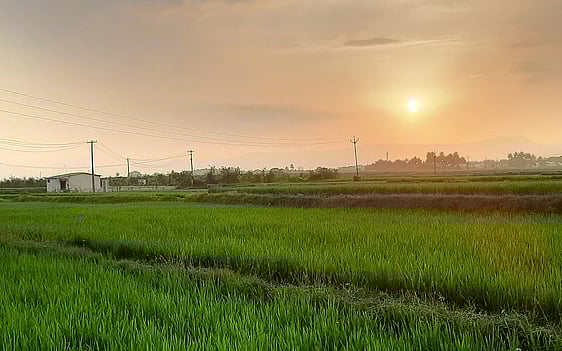 உள்ளாட்சியில் நல்லாட்சி! | மக்களின் வாழ்க்கைத்தரம் குறித்த தலையங்கம்