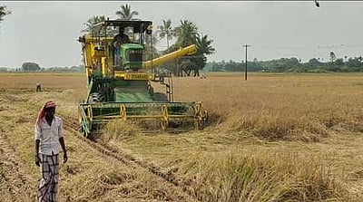 நெல் அறுவடைக்குப் பின் பயறு சாகுபடி ஊக்குவிப்பு: உற்பத்தி அதிகரிப்புக்கு புதிய தொழில்நுட்பம்