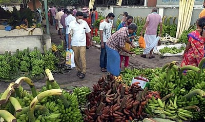 தருமபுரி, நாகை, வேலூா், திருப்பத்தூா் மாவட்டங்களில் புதிய உழவா் சந்தைகள்