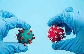 டெல்டாக்ரான் வைரஸ் பற்றி ஆராய்ச்சியாளர்கள் கூறுவது என்ன?