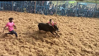 ஆலங்குடி அருகே ஜல்லிக்கட்டு: 39 போ் காயம்