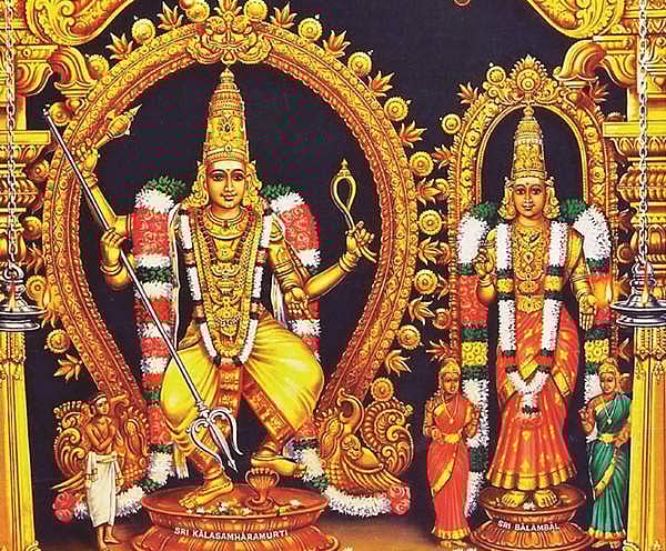 சிறுவனுக்கு ஆயுள் ஈந்த சேவகப் பெருமான்!