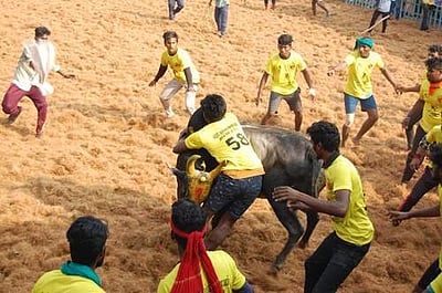 தஞ்சாவூர் அருகே ஜல்லிக்கட்டு திருவிழா