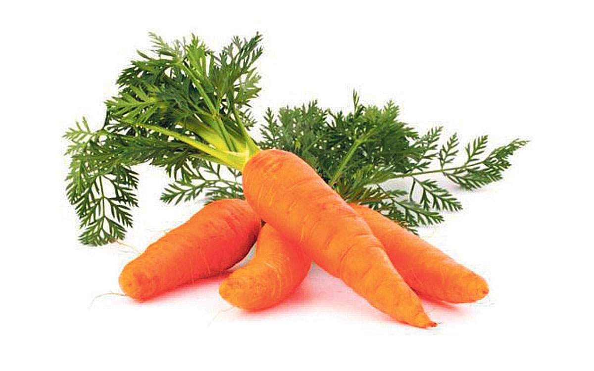 டிப்ஸ்.. டிப்ஸ்..!