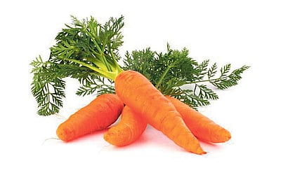 டிப்ஸ்.. டிப்ஸ்..!