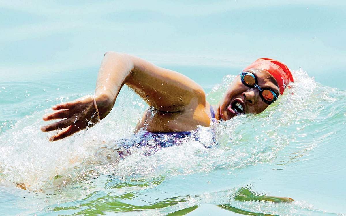 தனுஷ்கோடி முதல் தலைமன்னார் வரை ஜெல்லி மீன் தாக்கியது!