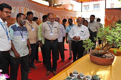 மூலிகைத் தாவரங்கள் கண்காட்சி