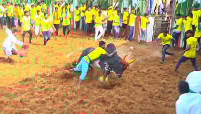 பொன்னமராவதி அருகே ஜல்லிக்கட்டு: 60 போ் காயம்