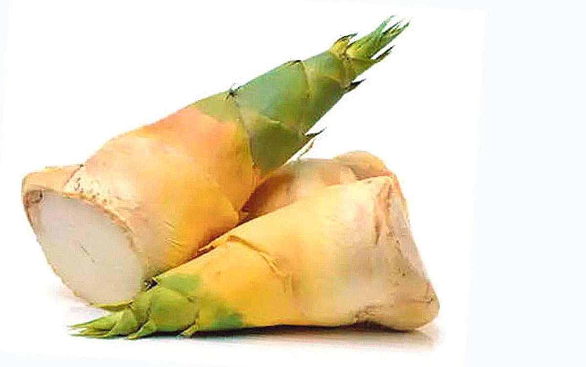 மூங்கில் குருத்து உணவு?