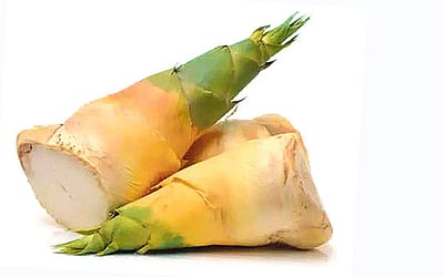 மூங்கில் குருத்து உணவு?