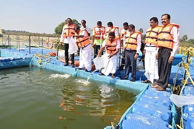 பாரூர் பெரிய ஏரியில்  ரூ.320 லட்சம் மதிப்பில் மீன் வளர்ப்புத் திட்டம் தொடக்கம்
