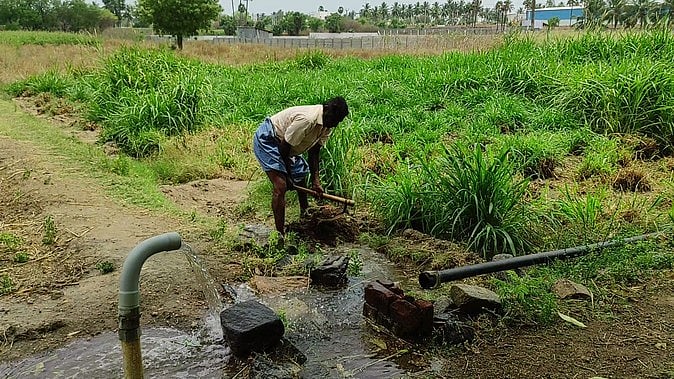 16 ஆண்டுகளுக்குப் பிறகு 
பெரியகுளம் விவசாயிக்கு மின் இணைப்பு