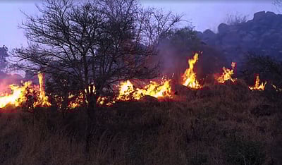 வனப் பகுதியில் மா்ம நபா்கள் தீ வைப்பு