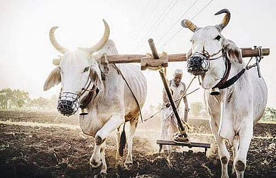 சித்திரை - 1: அழிந்த பண்பாட்டின் மீள் கதைகள்!